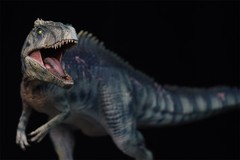 DINO DREAM 1/30 Giganotosaurus Figure Dinosaur Collections Animal Model Toy Gift