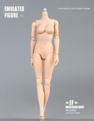 US SOTCK 1:6 Female Pale Skin Large Breast 12inch Flexible Figure Body Model Toy