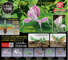 The Diversity of Life on Earth Mantis 03 Set of 6 Complete Bandai Capsule Toy