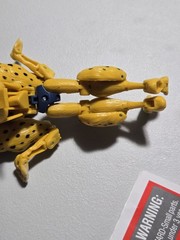 Transformers Universe Cheetor Deluxe Class Classics Action Figure