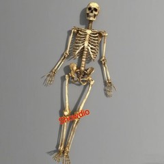 1/6 Scale Human Beings Skeleton Resin Model for 12″ Action Figure Accessory Toys