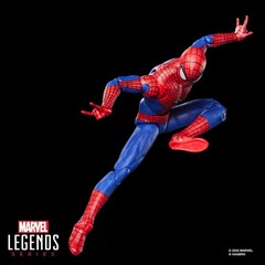 Marvel Legends Series Spider-Man (No Way Home)