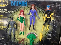Batman Animated Girls of Gotham City 4 Figures Batgirl Talia Catwoman Poison Ivy