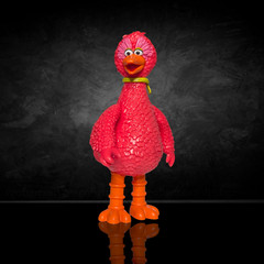 Sesame Street Blind Box Wave 5 U-PICK – Big Birds From Around The World