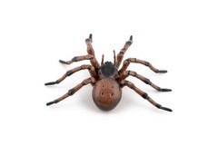 – Realistic Spider Figure – Ages 3+ – Garden Animals Collection – Educational…