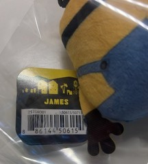 STEVE CARELL MINIONS SIGNED AUTOGRAPHED Minions And Monsters Plushie W COA #150