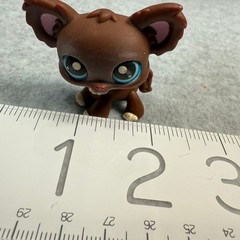 Littlest Pet Shop #219 Brown Chihuahua Dog Blue Eyes Hasbro LPS Figure Toy Cute