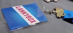 Lankybox Toy Lot