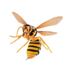 The Diversity of Life on Earth Wasp Hornet 01 Figure w/ Stand Bandai Capsule Toy