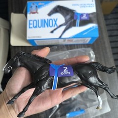 Thoroughbred Collection Equinox Horse Figure Toy