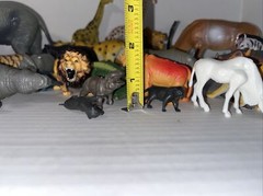 Animal Toy Plastic Figure Safari Zoo Forest Jungle Safari Toy Major Unknown