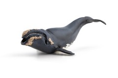 Papo Right Whale Hand Painted Figurine – Heirloom Quality Collectible No. 56057