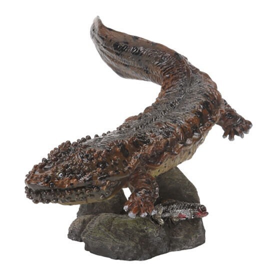 The Diversity of Life on Earth Mini Collection Amphibian Andrias Japonicus