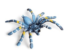 10.5cm Spider PVC Toy Insects Animal Figure Kids Gift