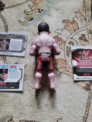 UFC Ultimate Collector Frankie Edgar Action Figure W/ 3 Panini Prizm Cards Mint