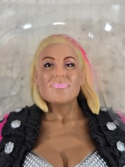 WWE Natalya Divas 2015 Mattel with packaging