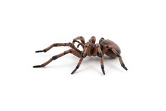 – Realistic Spider Figure – Ages 3+ – Garden Animals Collection – Educational…