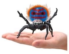 The Diversity of Life on Earth Peacok Spider Figure Bandai Capsule Toy