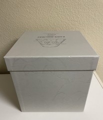 KAWS HOLIDAY JAPAN 2019 Mount Fuji Gray Plush AUTHENTIC W/ Box LIMITED EDITON