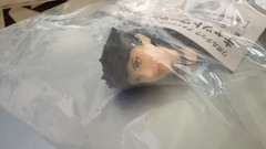 Kaiyodo Revoltech Amazing Yamaguchi Catwoman Action Figure with Bonus Parts New~