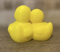 Couples Duck Boyfriend Girlfriend – Jeep Ducking Gift – Cruises – Collectible
