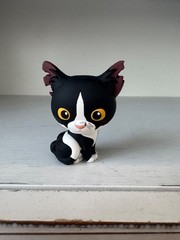 Warrior Cats Tallstar Series 6 PVC Mini Figure Black White Yellow Eyes Toy