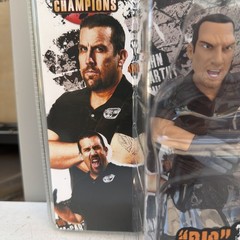 2009 UFC World of MMA Champions Big John McCarthy Action Figure Series 3 NEW!!!