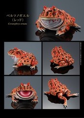 Horned Frog Figure Set of 4 Complete Bandai Creature Encyclopedia Capsule Toy
