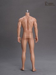 LDDOLL 34Boy 1:6 Muscular Seamless Male Action Figure Body Model NO Head Toys
