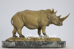 MEMORY MUSEUM 1/15 Africa White Rhinoceros Statue GK Painted Animal Model Decor