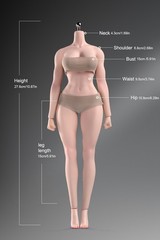 ANT T307 1/6 Female Fitness Model Action Figure Body 12inch Muscle Bust Soldier