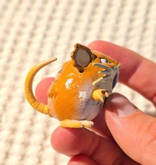 POKEMON ACTION FIGURE TOY 2″ RATICATE TOMY DAMAGED CONDITION