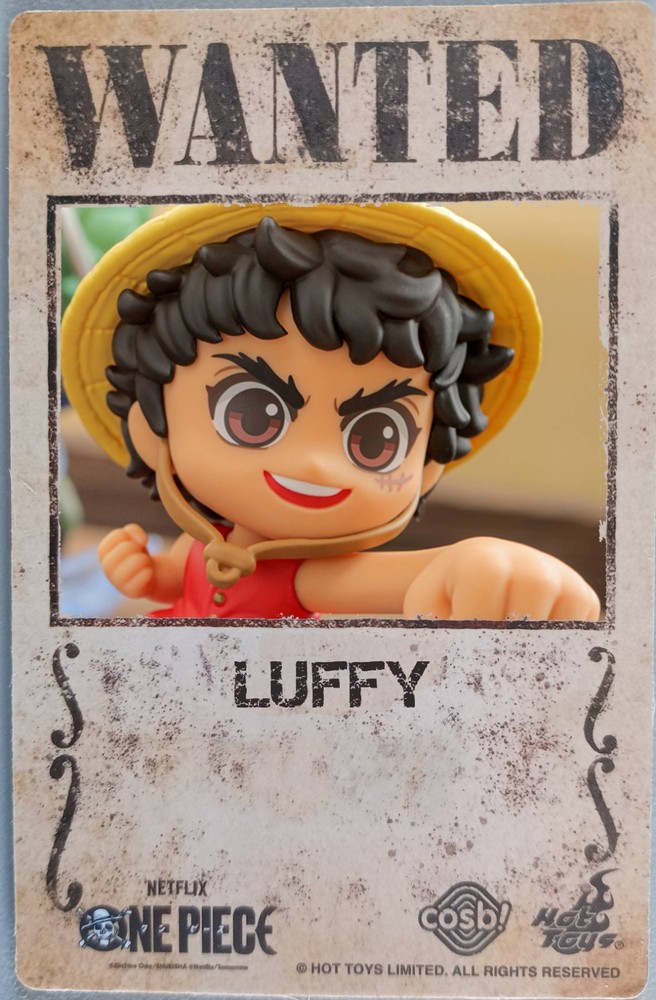 Hot Toys x Netflix CBX317 One Piece Cosbi Collection