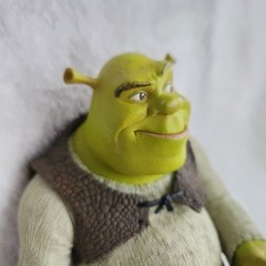 2001 McFarlane Toys Shrek Movie Action Figure 7″ Poseable