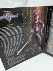 Kai Sora Ver.2 DX Edition, PVC Pre-Painted Action Figure