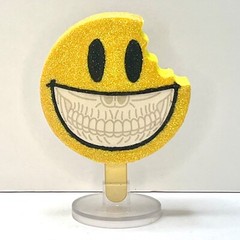 CUSTOM Happy Grin Sunflower *DIAMOND GLITTER CHASE* Ron English Frozen Culture