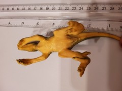 velociraptor action figure 5 1/2 inches. Made in china