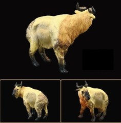 Takin Cattle Goat Animal Toy PVC Action Figure Doll Kids Toys Party Gifts