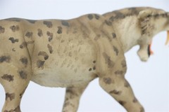 MEMORY MUSEUM 1/15 Prehistoric Cat Smilodon Populator GK Animal Model Toys Gift