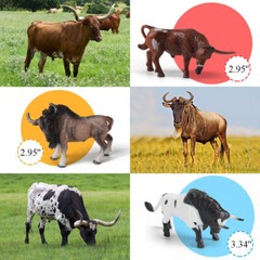 Bull Figures Texas Longhorn Cow 12pc Action Figures Multi-color Farm Animal Toys