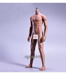 JIAOU DOLL 1/6 Scale Seamless Male Body Model Action Figure Fit 12″ Figure Gifts