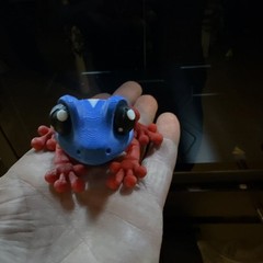Puerto Rican frog, coquí 3D printed/ tree Frog collectible with hidden Mag.