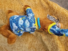 Cartoon Network SCOOBY-DOO DOG WIZARD 14″ Plush Toy Sleepy Time Pajama