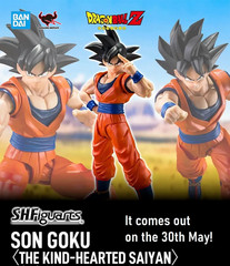TAMASHII NATIONS-Dragon Ball Z-Son Goku (The Kind-Hearted Saiyan) S.H.Figuarts