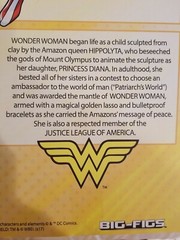 DC Universe CLASSIC JAKKS WONDER WOMAN 19″ INCH BIG FIGS Figure NEW 2017