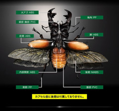 The Diversity of Life on Earth Advance Stag Beetle 02 w/ Display Stand & Wing