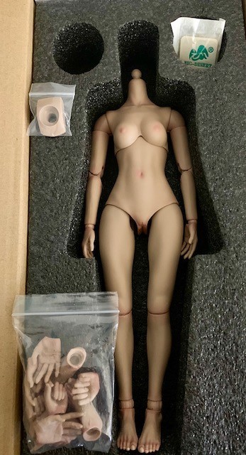 1/6 Female Action Figure WorldBox Girls Body Slightly USED