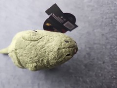 T-Rex Jurassic World Rebirth Plushie New With Tags (B)