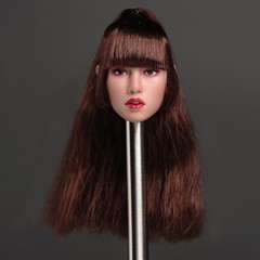 SDH041A 1/6 Head Sculpt Asia South Korea Singer Fit 12” Female Suntan Figure