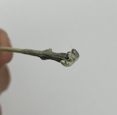 Star Ace Toys Lord Voldemort 1/8 Scale Elder Wand Part Accessory Harry Potter